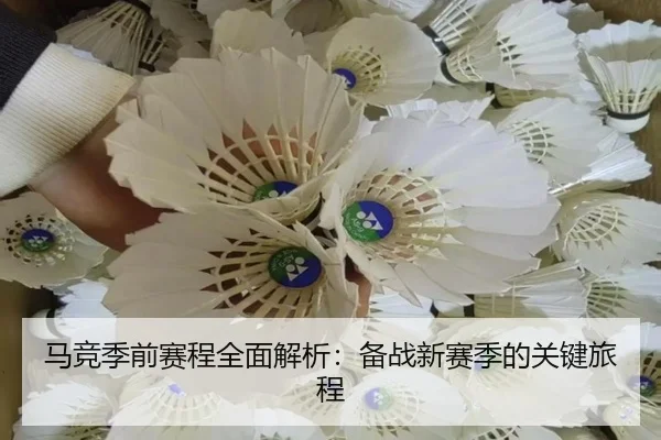 马竞季前赛程全面解析：备战新赛季的关键旅程